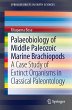 Palaeobiology of Middle Paleozoic... - Bild 1