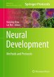 Neural Development - Bild 1