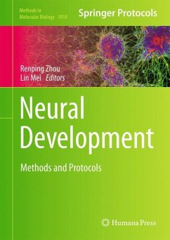 Neural Development