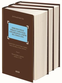 Derechos civiles forales y especiales : concordancias a partir del Código Civil : legislación foral y especial de Aragón, Cataluña, Galicia, Baleares, Navarra y País Vasco - Pardo Gato, José Ricardo