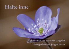 Cover Halte inne
