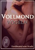 Vollmondvögeln (eBook, PDF)