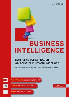 Business Intelligence (eBook, PDF) - Werther, Iron