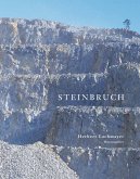 Steinbruch (eBook, ePUB)