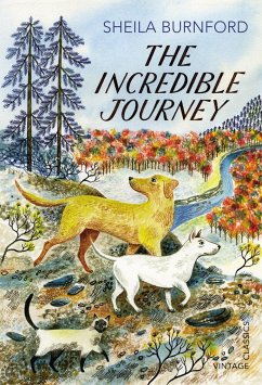 The Incredible Journey - Burnford, Sheila