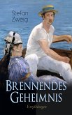 Brennendes Geheimnis. Erzählungen (eBook, ePUB)