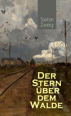 Der Stern über dem Walde (eBook, ePUB) - Zweig, Stefan