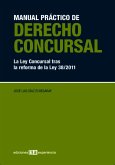 Manual Práctico de Derecho Concursal (eBook, PDF)