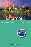 Estambul (eBook, ePUB)