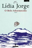 O Belo Adormecido - Contos (eBook, ePUB)