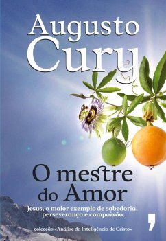 Cover O Mestre do Amor (eBook, ePUB)