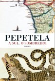 A Sul. O Sombreiro (eBook, ePUB)