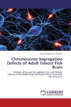 Chromosome Segregation Defects of Adult Teleost Fish Brain