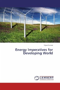 Energy Imperatives for Developing World