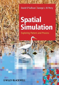 Simulating Pattern and Process - O'Sullivan, David; Perry, George L. W.