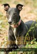 Retired Greyhounds - Bild 1