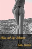 Hitze auf den Bahamas: Die Gelüste der Stieftochter (eBook, ePUB) Hitze auf den Bahamas: Die Gelüste der Stieftochter (eBook, ePUB)