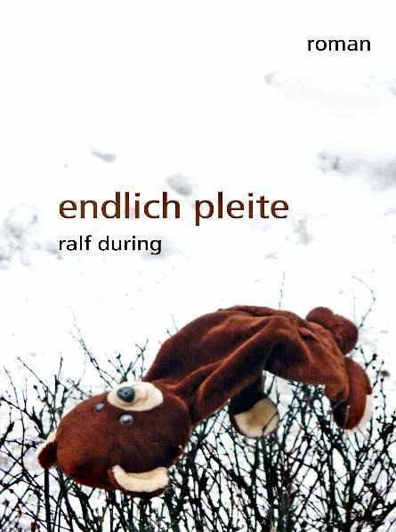 endlich pleite (eBook, ePUB)