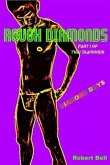 Rough Diamonds (eBook, ePUB)