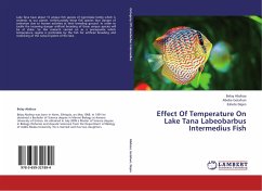 Effect Of Temperature On Lake Tana Labeobarbus Intermedius Fish