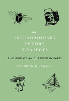 An Extraordinary Theory of Objects - Lacava, Stephanie