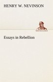 Essays in Rebellion