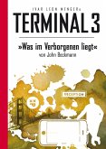 Terminal 3 - Folge 09: Was im Verborgenen liegt (eBook, ePUB)