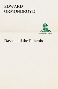 David and the Phoenix - Ormondroyd, Edward