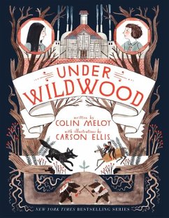 Wildwood Chronicles 2. Under Wildwood - Meloy, Colin