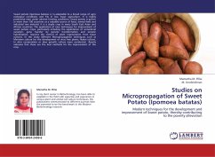 Studies on Micropropagation of Sweet Potato (Ipomoea batatas)