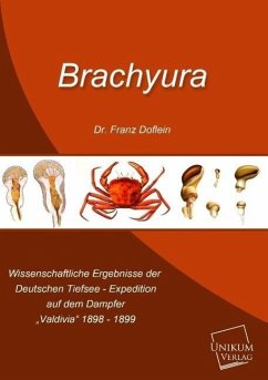 Brachyura - Doflein, Franz