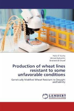 Production of wheat lines resistant to some unfavorable conditions - Bahieldin, Ahmed;El-Shwaf, Ibrahiem;El-Garhy, Hoda