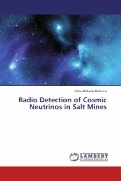 Radio Detection of Cosmic Neutrinos in Salt Mines - Badescu, Alina-Mihaela