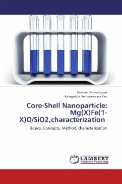 Core-Shell Nanoparticle: Mg(X)Fe(1-X)O/SiO2,characterization