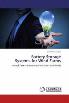 Battery Storage Systems for Wind Farms - Bazargan, Damon