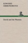 David and the Phoenix