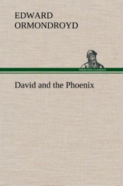 David and the Phoenix - Ormondroyd, Edward