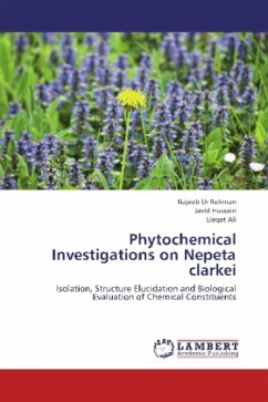 Phytochemical Investigations on Nepeta clarkei