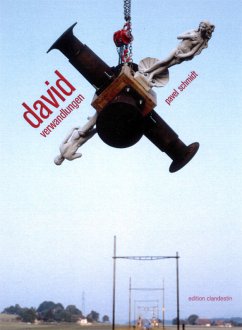 Cover david verwandlungen