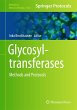 Glycosyltransferases - Bild 1