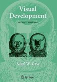 Visual Development (eBook, PDF)