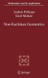 Non-Euclidean Geometries (eBook, PDF) - Bild 1