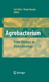 Agrobacterium: From Biology to Biotechnology (eBook, PDF)