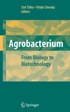 Agrobacterium: From Biology to Biotechnology (eBook, PDF)