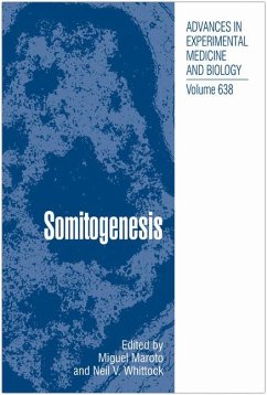 Somitogenesis (eBook, PDF)