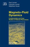 Magneto-Fluid Dynamics (eBook, PDF)