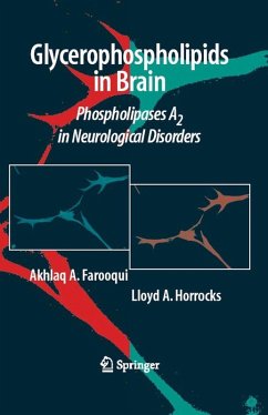 Glycerophospholipids in the Brain (eBook, PDF) - Farooqui, Akhlaq A.; Horrocks, Lloyd A.