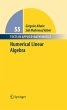Numerical Linear Algebra (eBook, PDF) - Bild 1