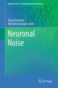 Neuronal Noise (eBook, PDF) - Destexhe, Alain; Rudolph-Lilith, Michelle