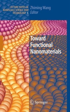 Toward Functional Nanomaterials (eBook, PDF)